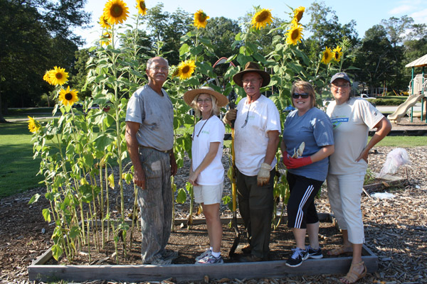 Knox Park Community Garden